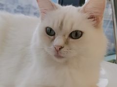 -怪兽屋·羊驼·猫咖·狗咖(俊华广场店)