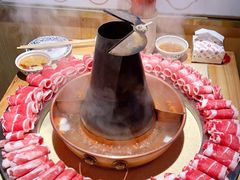 -东镇老火锅(长春路首店)