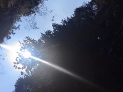-广东大峡谷