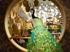 -雀蓝川菜(奥体广场店)