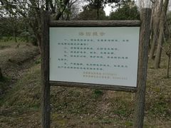 -蜀冈西峰生态公园