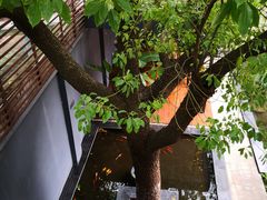 -Willing·Coffee&Brunch&Dinner(万达店)