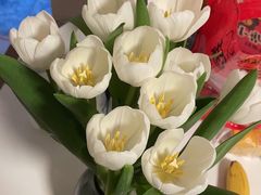 -双季花艺园艺市场(浦东店)