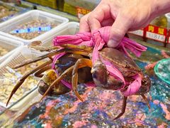 -东江海鲜大排档·潮汕菜·砂锅粥