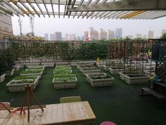 -巴黎春天(浦建店)