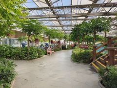 -南宫五洲植物乐园