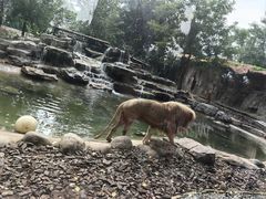 -北京野生动物园