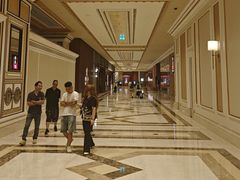 -澳门威尼斯人综合度假区
