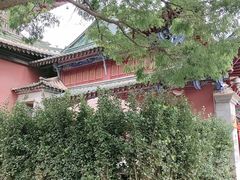 -真庆观
