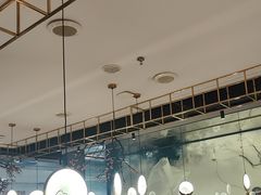 -老板恋上鱼(振华商厦店)