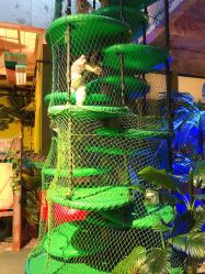 -恐龙探索乐园(磁器口店)