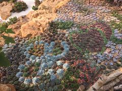 -南通洲际绿博园