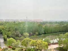 -自然谷恐龙园