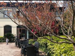 -荷风细雨·中国茶宴(碧云店)