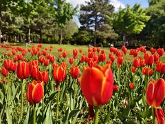 -长春公园(普阳街道)