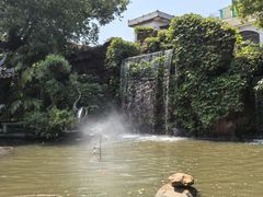 -德云居