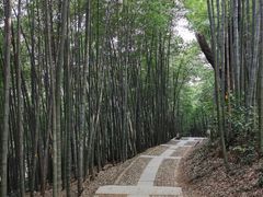 -西湖风景区十里琅珰-五云山