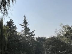 -秋霞圃