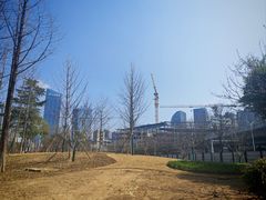 -后襄河公园