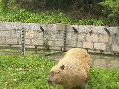 -上海野生动物园