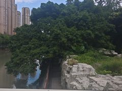 -成都市活水公园