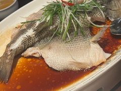 -永記粤菜·五指毛桃花雕鸡煲(九亭店)
