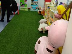 -UBTV小主播（口才、主持、表演、演讲）(万象汇校区)
