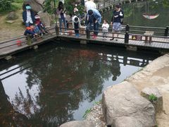 -白马涧龙池景区
