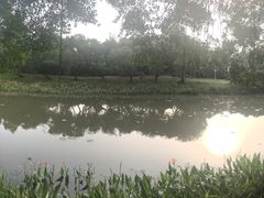 -南沙蒲洲花园