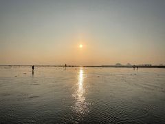 -红树林天天赶海