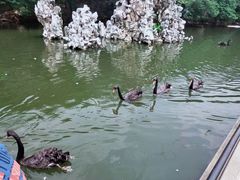 -合肥野生动物园