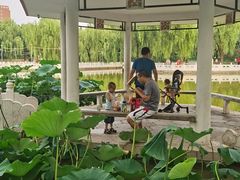 -丰台花园
