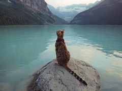 -半天妖烤鱼(方庄店)