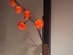 -小隐人家(乐松店)