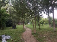 -亲兄弟真人CS团建拓展基地