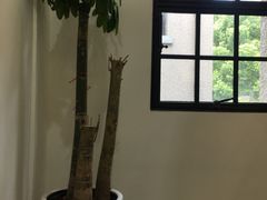 -徐家汇源景区-衡山坊