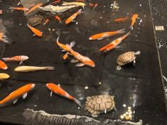 -大和洗浴休闲会所(宏大广场店)