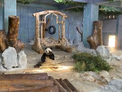 -海南热带野生动植物园