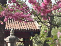 -红螺寺
