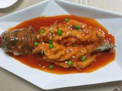 -优护优家Ucare月嫂育儿嫂陪伴师(静安店)