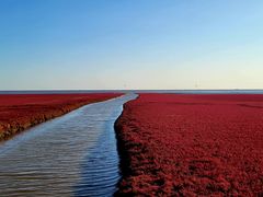 -红海滩国家风景廊道