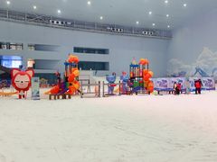 -哈尔滨热雪奇迹