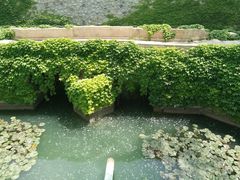 -颐和园