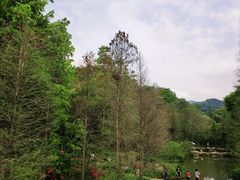 -云溪植物园