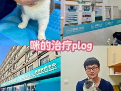 -美联众合动物医院·24h京西诊疗中心