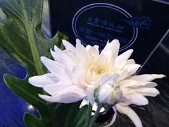 -王家渡火锅(金宝汇店)