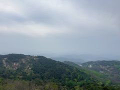 -鲁山国家森林公园