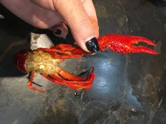 -望江门227龙虾馆