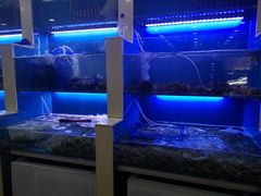 水产区-老虎滩大连海鲜烧烤(建邺云锦路总店)