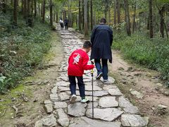 -冶父山国家森林公园